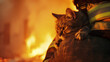 fireman saves a cat from a fire