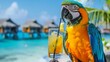 A vibrant parrot with a refreshing drink perched by a tropical resort pool, tropical vacation luxury and enjoyment.