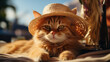 A relaxed tabby cat under a straw hat enjoys a leisurely tropical day