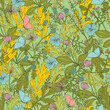 Vector vintage seamless green floral pattern. Herbs and wildflowers.  Can be used in textile industry, paper, background, scrapbooking.