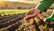A farmer's hand sows seeds in a plowed field. Concept of new technology in agriculture