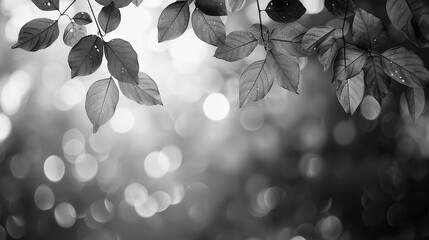 Wall Mural - Tree branch with leaves