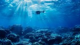 Fototapeta Do akwarium - Underwater ROV Exploring Coral Reefs During Daytime