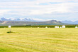 Wrapped hay bales in a grassy field in a rural landscape with mountains in background in Iceland in summer
