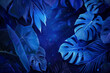 Collection of tropical leaves,foliage plant in blue color with space background