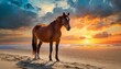 Seaside Solace: Brown Horse Enjoying Sunset on Sandy Shore