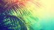 palm tree leaves with a colorful background