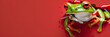 A captivating close-up of a green tree frog as it catches a fly, set against a vivid red background with a torn paper visual effect