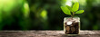 A green plant grows in jar of coins on a wooden table with background of green trees in blur. Copy space, wide banner. Shallow depth of field