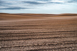 Fototapeta Krajobraz - puste pole jako minimalistyczny pejzaż wiejski