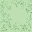 light green background with birds on branches. Vector banner. Floral illustration. Spring garden.