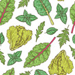 Salad greens seamless pattern. Hand drawn vector illustration. Cooking salad. Vegan food background.