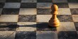 Solitary Pawn s Contemplative Shadow on the Chessboard of Strategy
