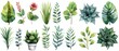 Bring a touch of nature indoors with watercolor clipart of houseplants, flowers, and botanical elements