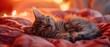 Furry kitten sleeping, cozy warmth, gentle curves, peaceful nap