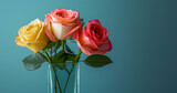 Fototapeta Lawenda - Bouquet of multi-colored roses on a green background.