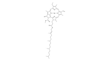 Sticker - chlorophyll a molecule, structural chemical formula, ball-and-stick model, isolated image chlorophyll