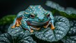   A blue-orange frog sits atop a verdant, leafy plant, with dewdrops adorning its body