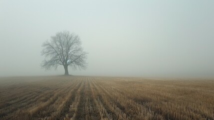 Canvas Print - A lone tree in a vast field