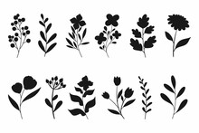 Leaves Flowers Branches Silhouettes Set Wild Plants Garden Flowers Silhouettes White 4
