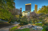Fototapeta Nowy Jork - Central Park in spring