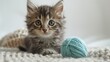 Kitten Playing With Yarn Ball