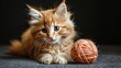 Small Kitten Sitting Next to a Ball of Yarn