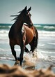 A brown horse running along the beach 