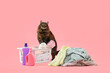 Cute cat with laundry basket and bottles of detergent on pink background