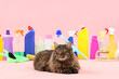 Cute cat with cleaning supplies and bottles of detergent lying on pink background