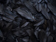 Background features intriguing patterned black feathers
