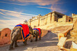 Indian elephant riders in Amber Fort, famous tourist attraction, Jaipur, India