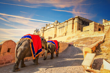 Wall Mural - Indian elephant riders in Amber Fort, famous tourist attraction, Jaipur, India