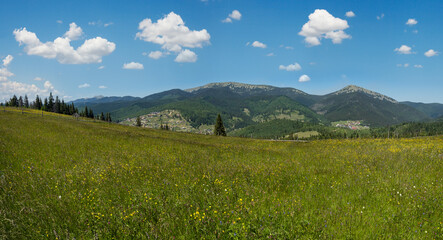 Wall Mural - Summer Gorgany massiv mountains scenery view from Sevenei hill (near Yablunytsia pass, Carpathians, Ukraine.)