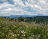 Fototapeta Zachód słońca - Summer Chornohora massiv mountains scenery view from Sevenei hill (near Yablunytsia pass, Carpathians, Ukraine.)