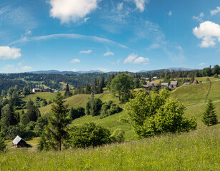 Wall Mural - Summer Gorgany massiv mountains scenery view from Sevenei hill (near Yablunytsia pass, Carpathians, Ukraine.)