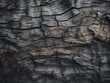 The background captures the essence of aged tree bark's beauty