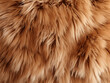 Up-close perspective capturing the natural texture of brown fur