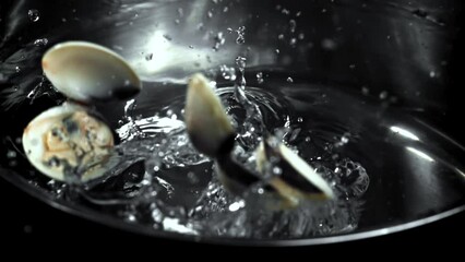 Poster - Super slow motion fresh vongole. High quality FullHD footage