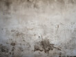 Abstract background with concrete or plastered wall texture offers ample space for text