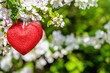A symbol of love among the branches of a flowering apple
