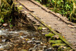 rustic wooden footbridge over a babbling forest brook