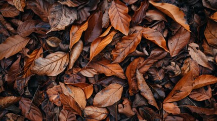 Sticker - Pile of dry autumn leaves on the ground