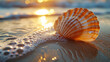 close up of a seashell on the beach