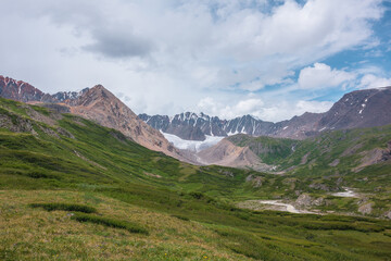 Beautiful landscape with mountain river among rocks and hills in green alpine valley. Lush flora and dense thicket with view to big glacier and large snow mountain range far away under gray cloudy sky