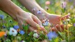 hands picking wildflowers from a meadow, showcasing the beauty and freshness of nature