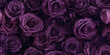 A dark purple rose pattern