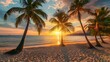 © James - Backlit palm trees and sandy beach fills the foreground leading back to dramatic sunburt sunset and cloudscape