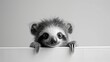   A black-and-white image of a baby raccoon perched on a wall, peeking over with claws visible above its head