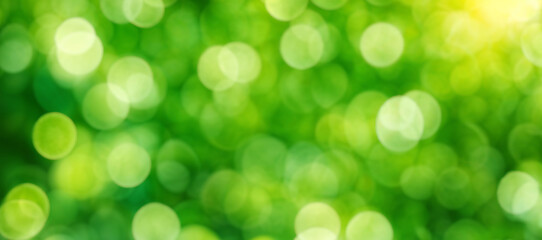 Sticker - Sunny green foliage bokeh background